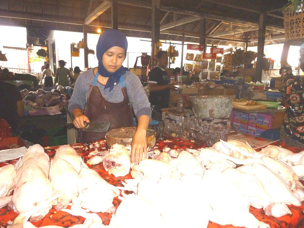 chicken-buying-market-Kramb-nov-11-4