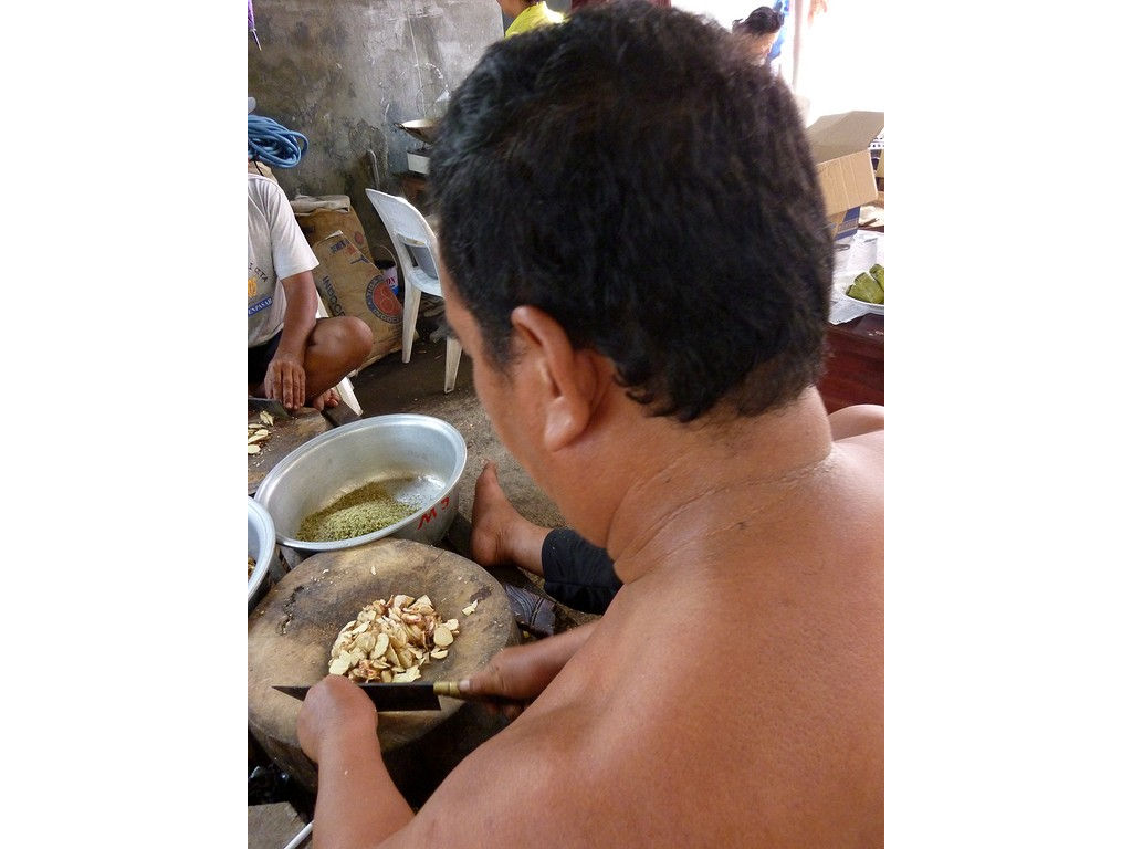 pebat-laos-4.11.11-4