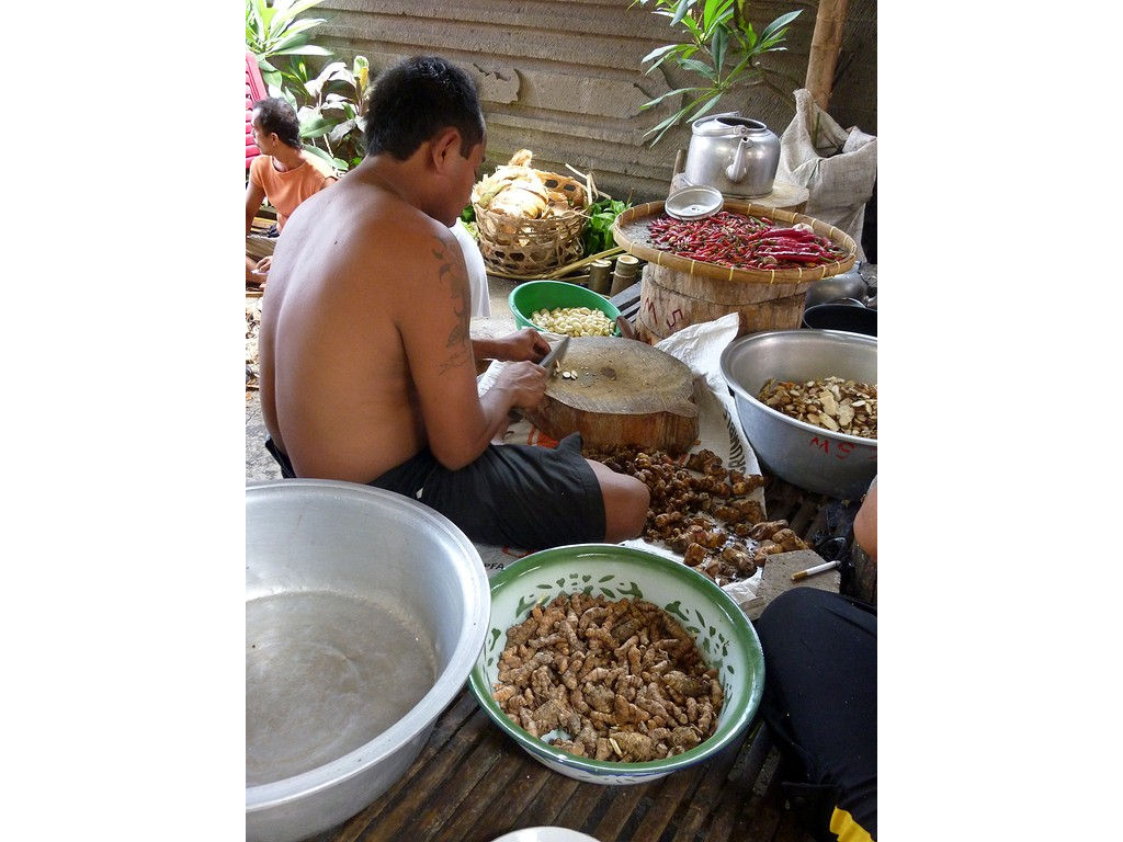 pebat-laos-4.11.11