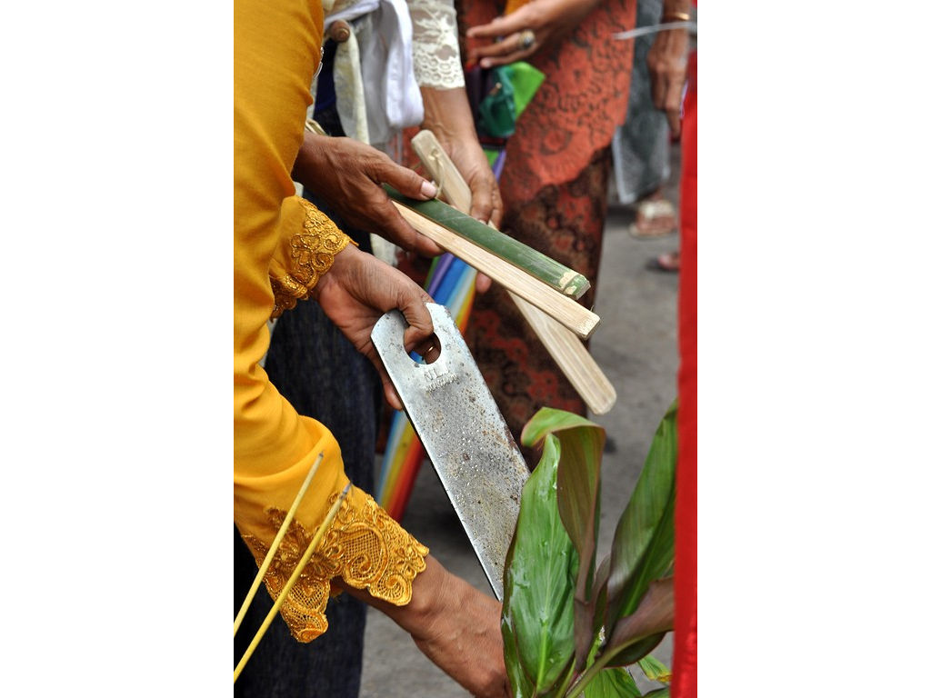 schaaf-sepit-rice-spoon
