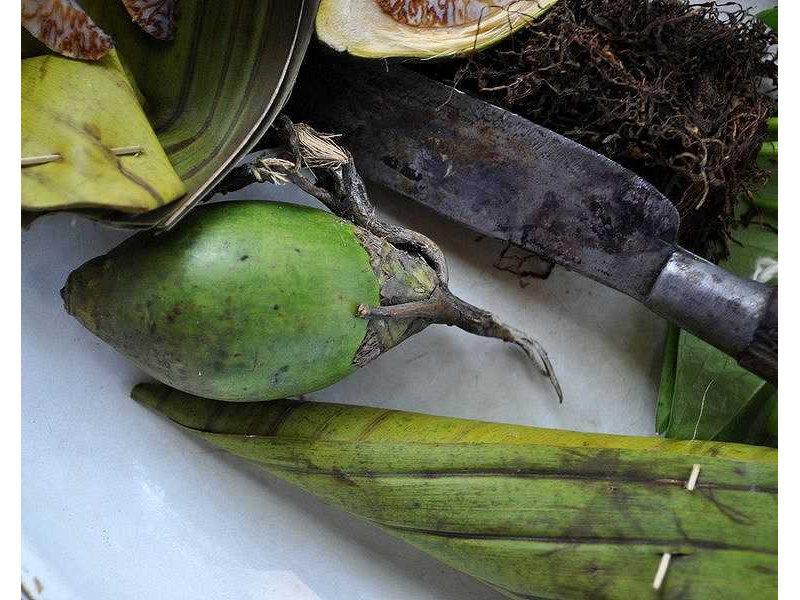 -pinang-knife