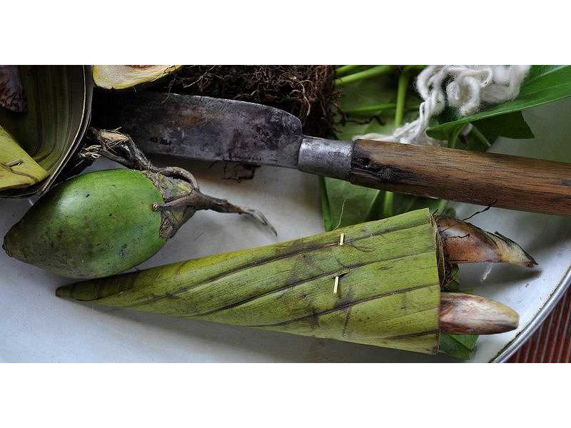 -pinang-knife-kojong-lekesan