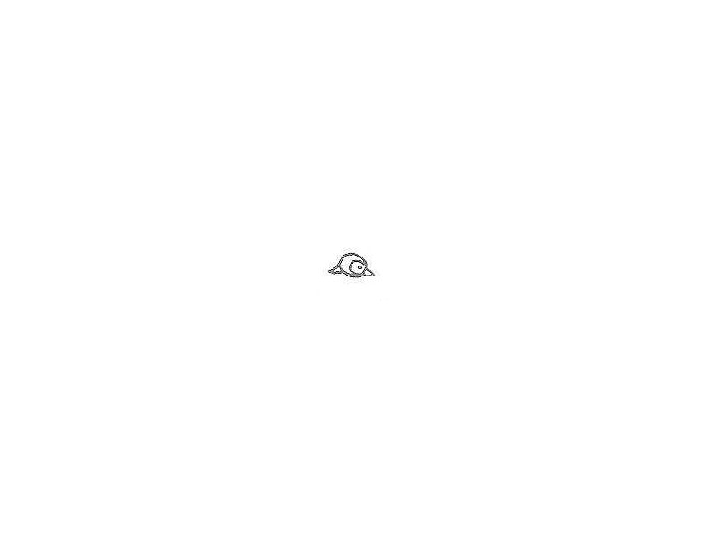 eye-bulet-round