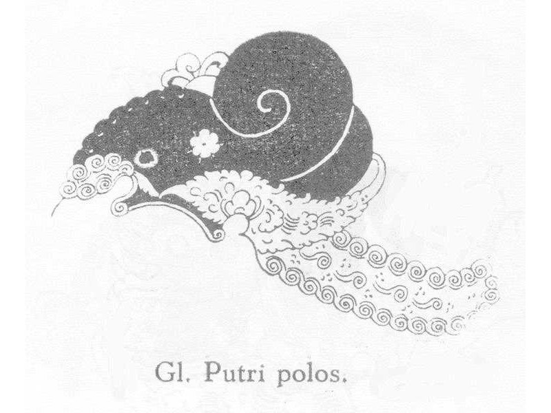 gelungputripolosolo