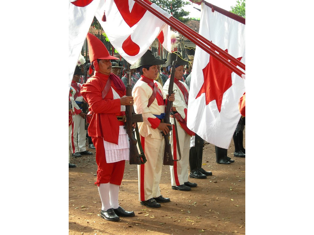 -army-Wirobrojo-Dahang-flags