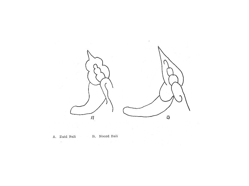 N-S.Balines-ear-jewels