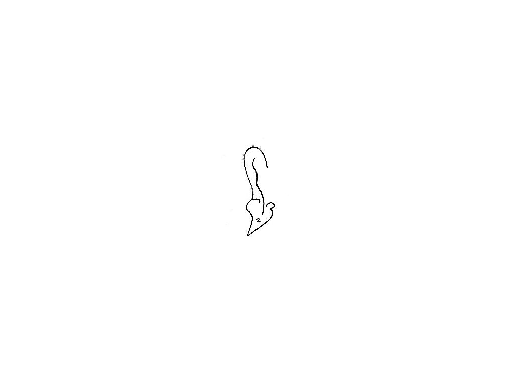 anting-anting-earjewel-pendent