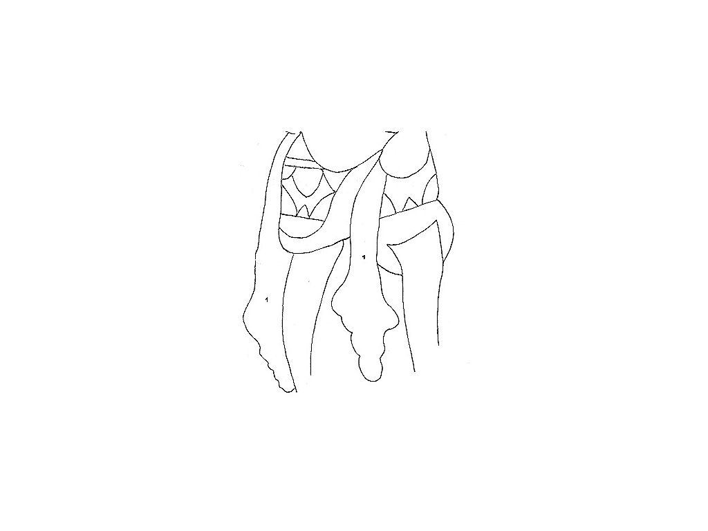kain-kancut-tiedup-loincloth-warriors