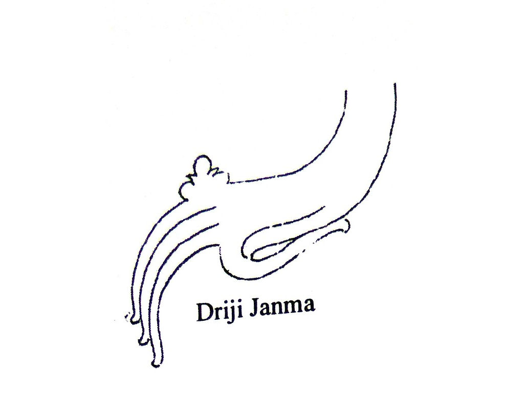 hands-driji-janma-human-hand-Sunarto-118
