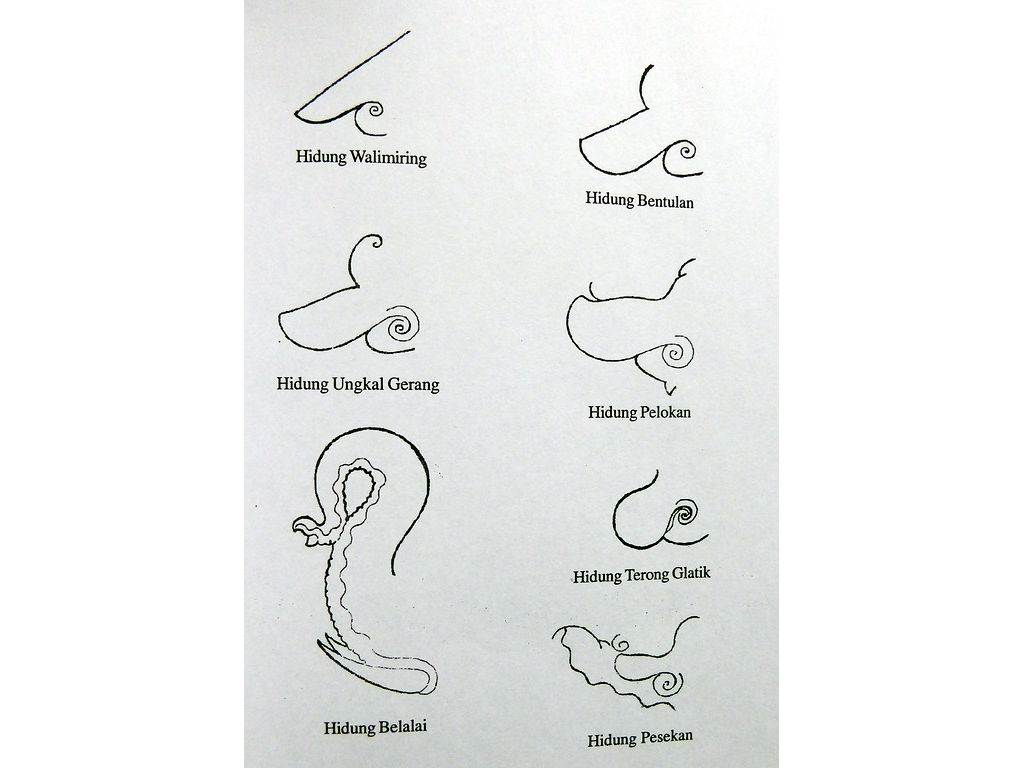 nose-types-Sunarto-95