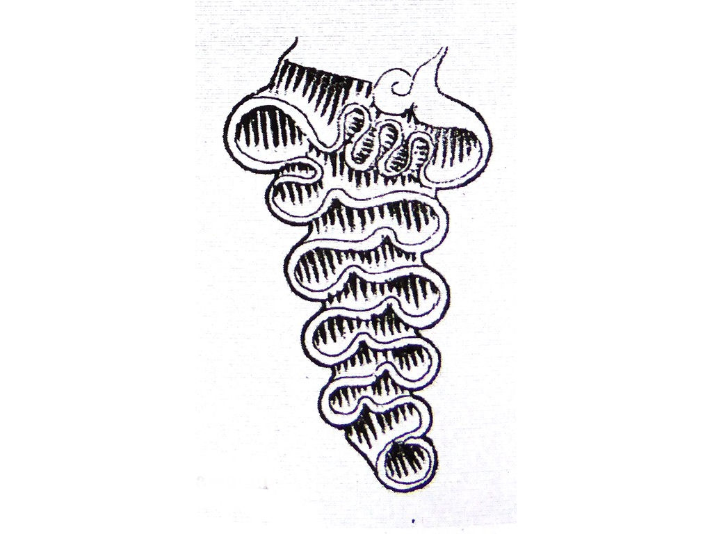 sash-between-legs-sawutan-ornament-Sunarto-104